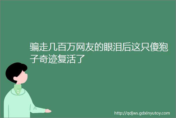 骗走几百万网友的眼泪后这只傻狍子奇迹复活了