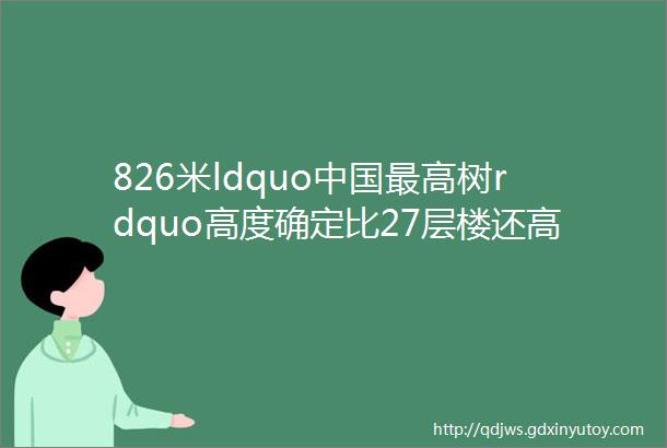 826米ldquo中国最高树rdquo高度确定比27层楼还高为何能长这么高