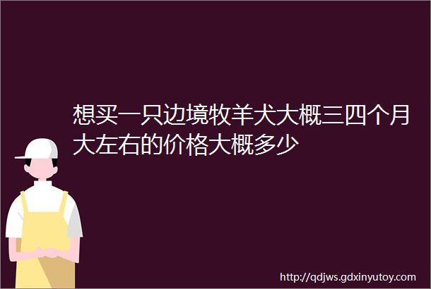 想买一只边境牧羊犬大概三四个月大左右的价格大概多少