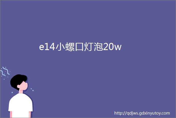 e14小螺口灯泡20w